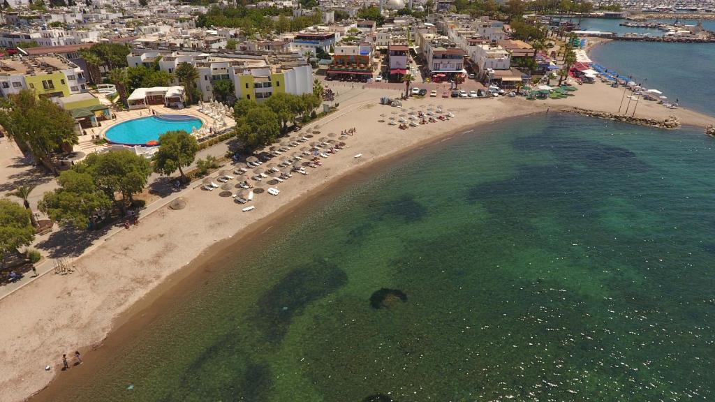 Yelken Mandalinci-3